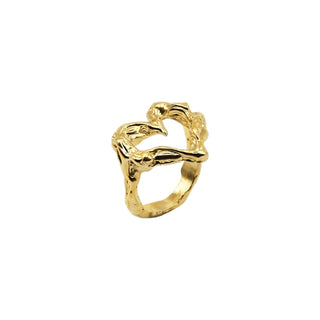 glided ring ‘follow your heart’